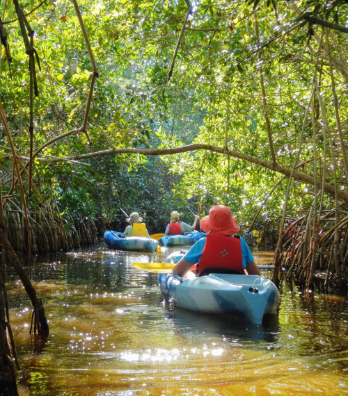 Scenic Landscapes on a Canoeing Tour